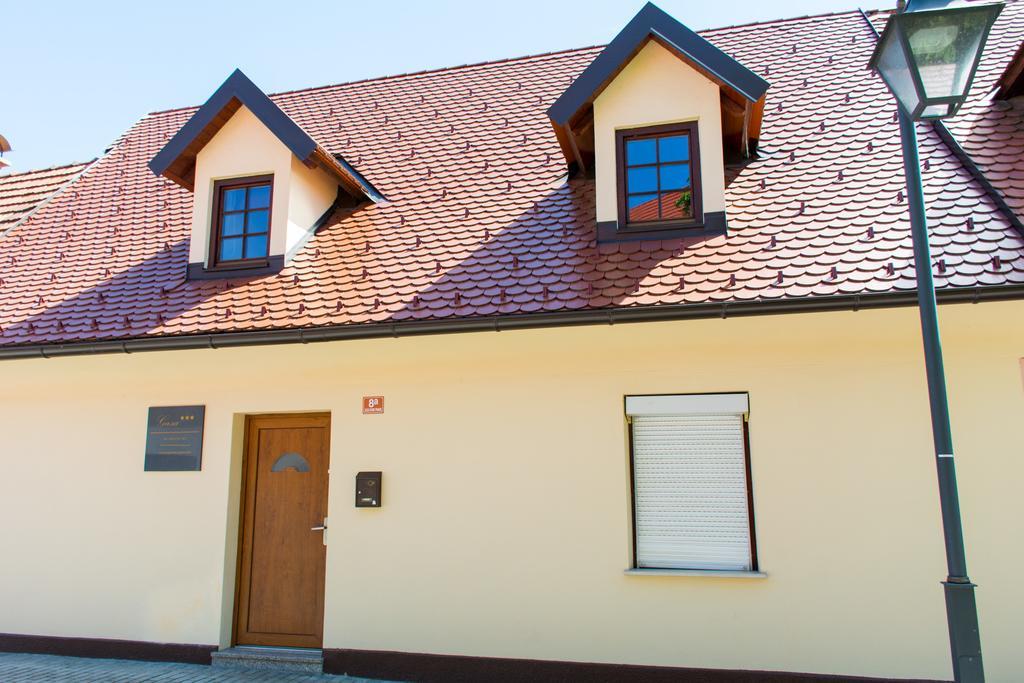 Apartment Gasa Brezice Exterior photo
